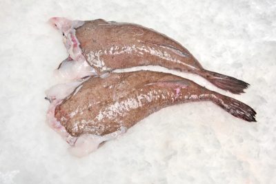 Pescado de roca